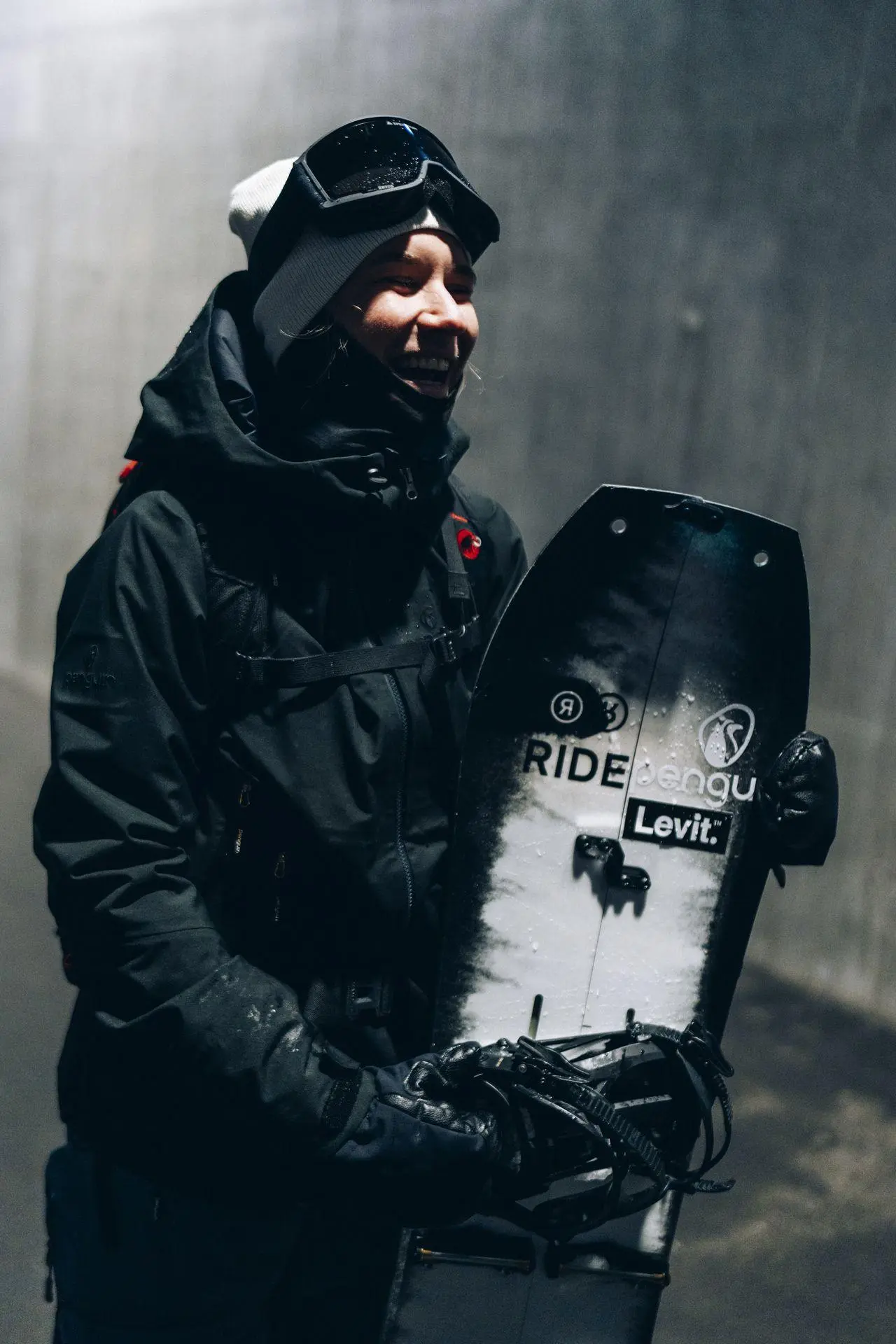 Penguin Family Coline